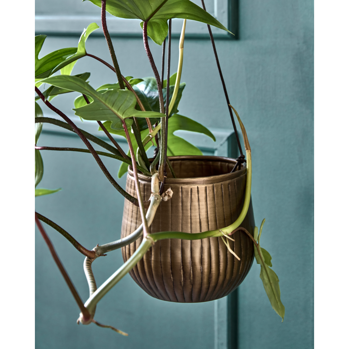 Herbal pot, HDplan, Golden
