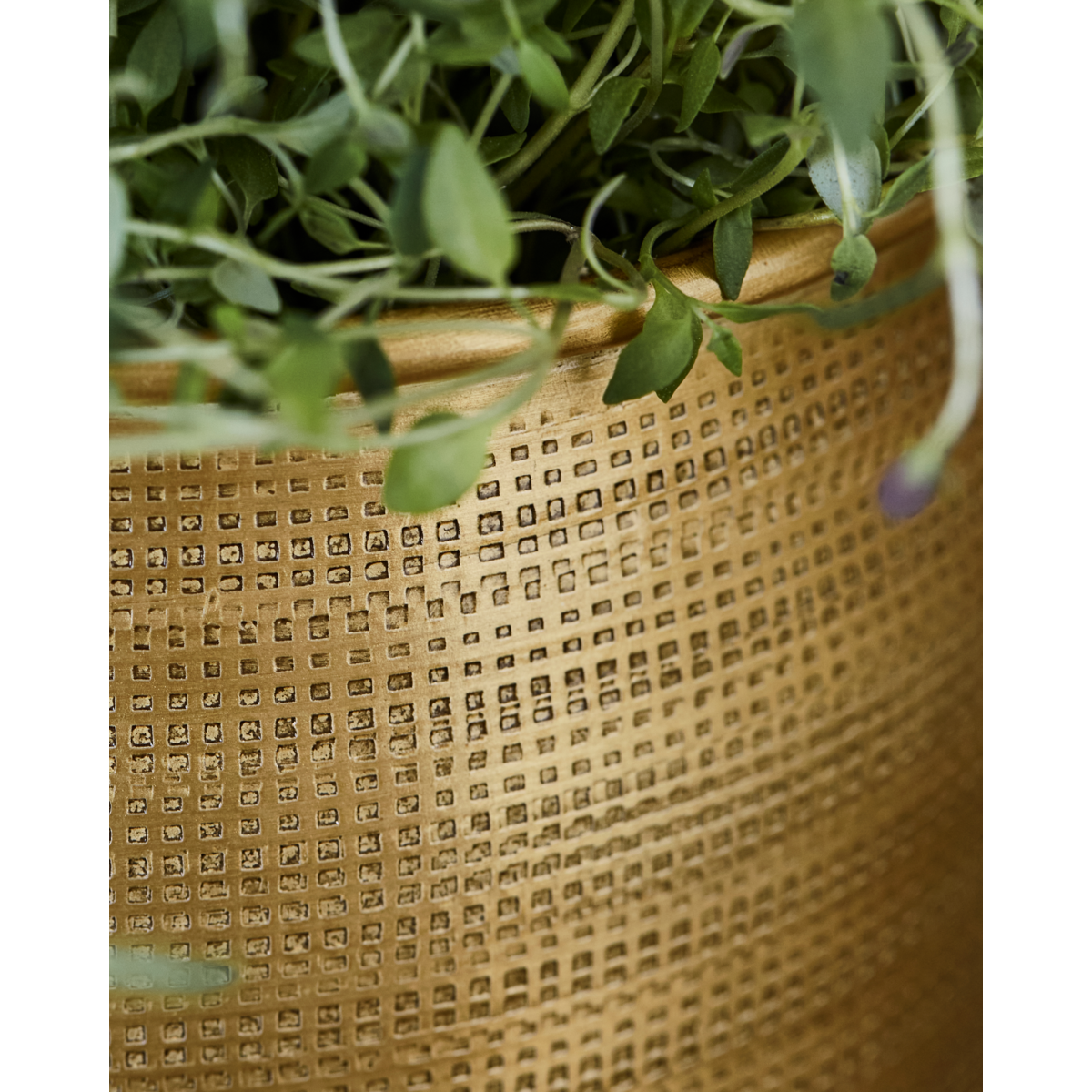 Herbal pot, hdspot, golden