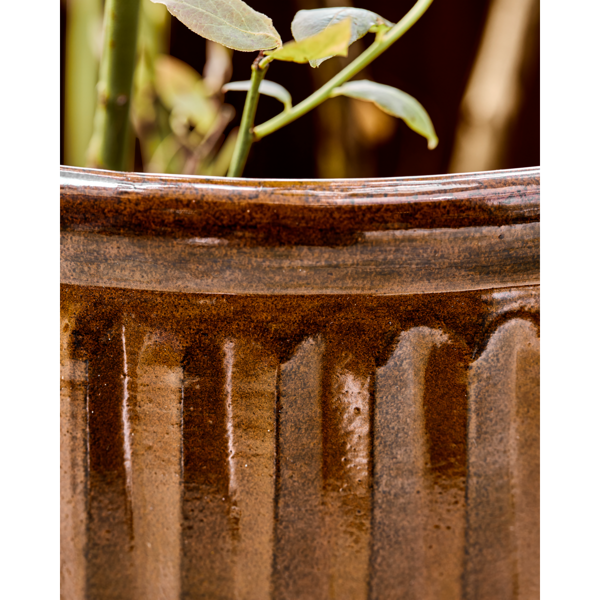 Herbal pot, hdgroove, brown