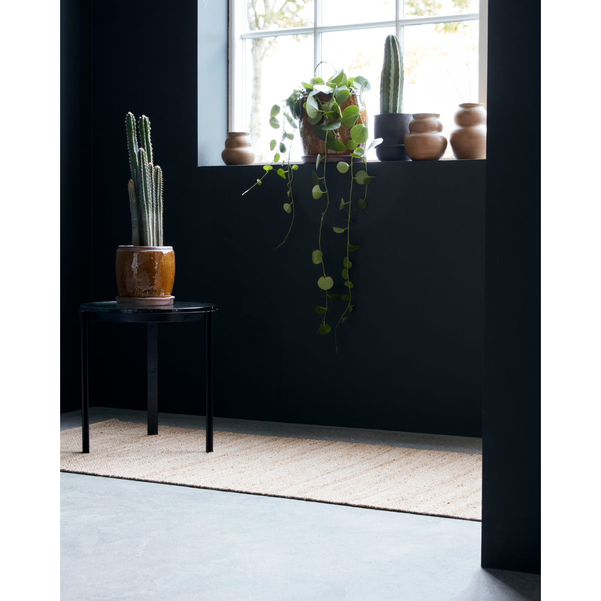 Carpet, Hdhempi, Nature