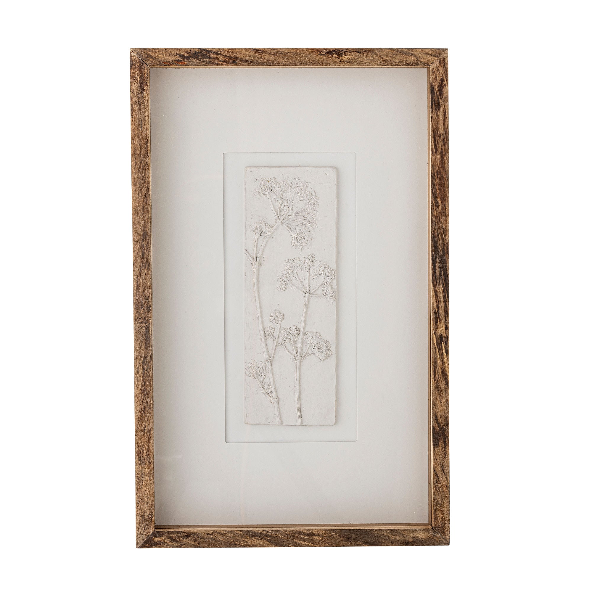 Creative Collection Mey Illustration with Frame, Nature, Pine
