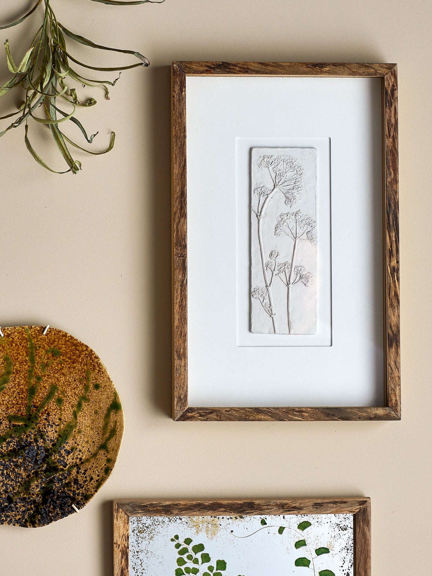 Creative Collection Mey Illustration with Frame, Nature, Pine