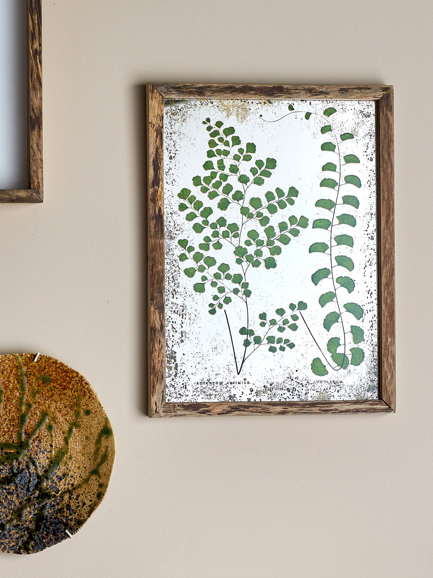 Creative Collection Tipper Illustration with Frame, Nature, Pine