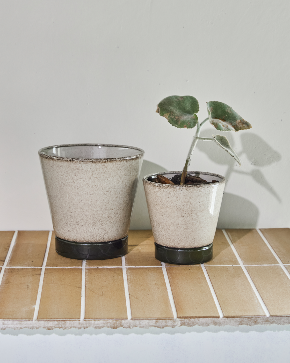 Plant pot, HDLima, Beige; Green