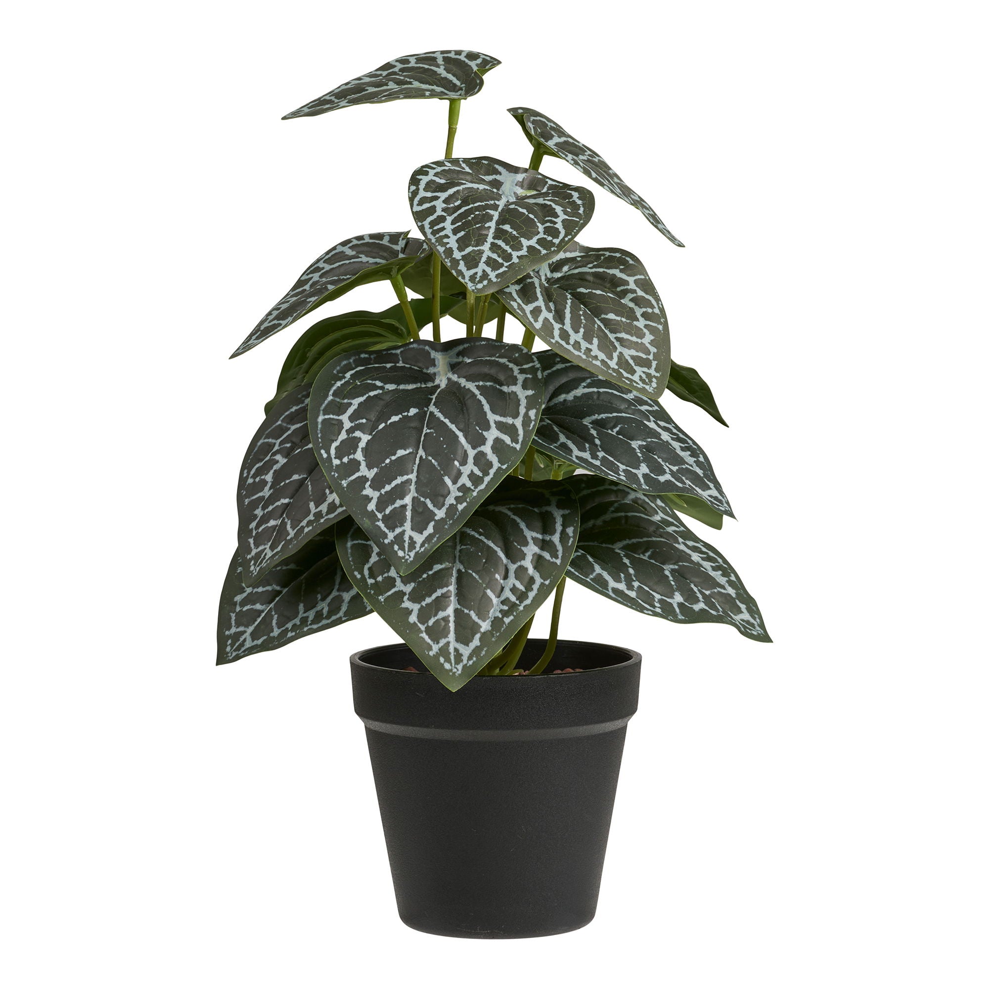 Artificial Plant - Plant, Green H: 33 cm