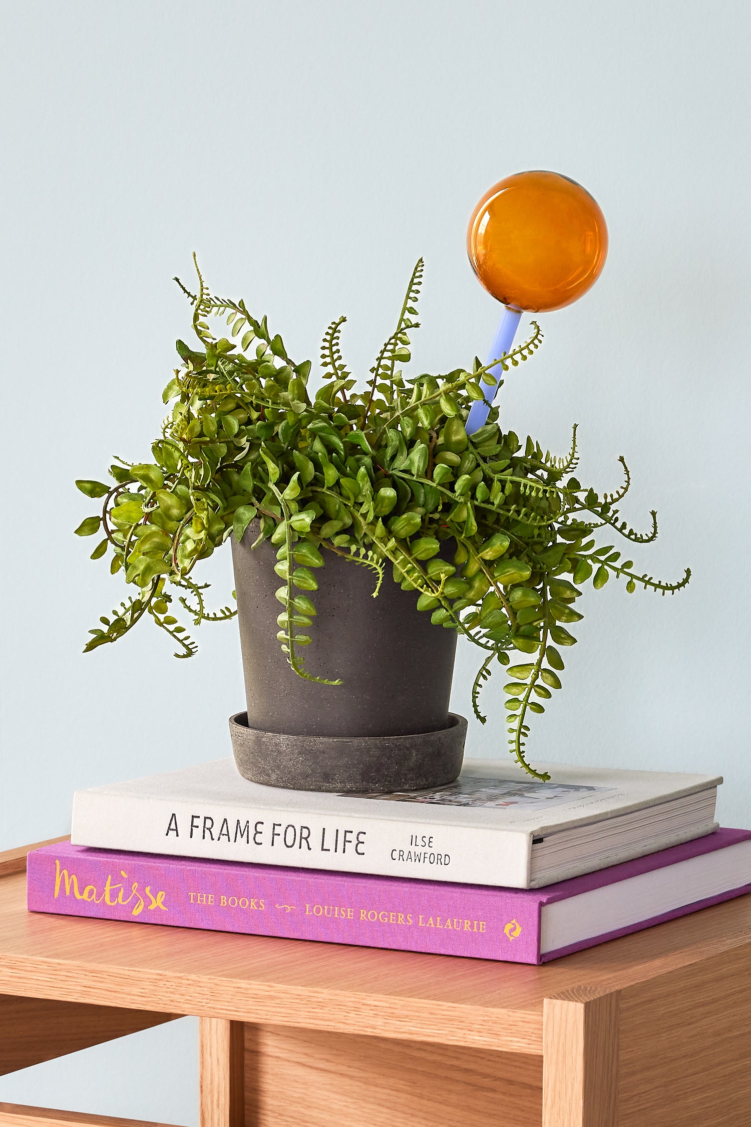 Flora Self -watering amber color/blue - 8x8xh27cm