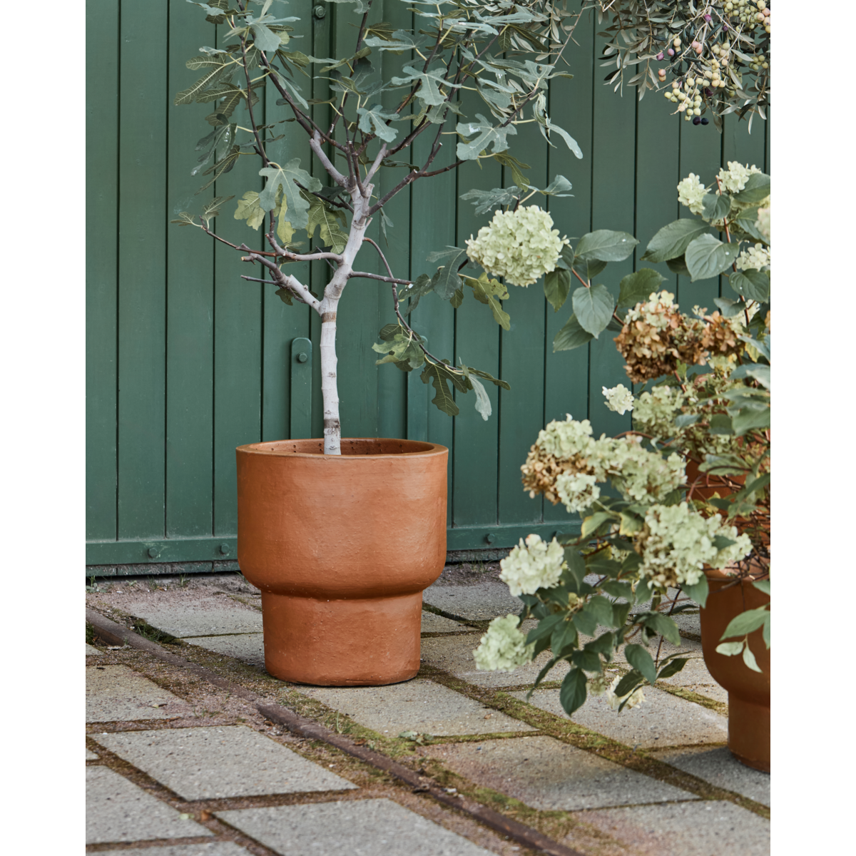 Herbal pot, hdterra, antique brown