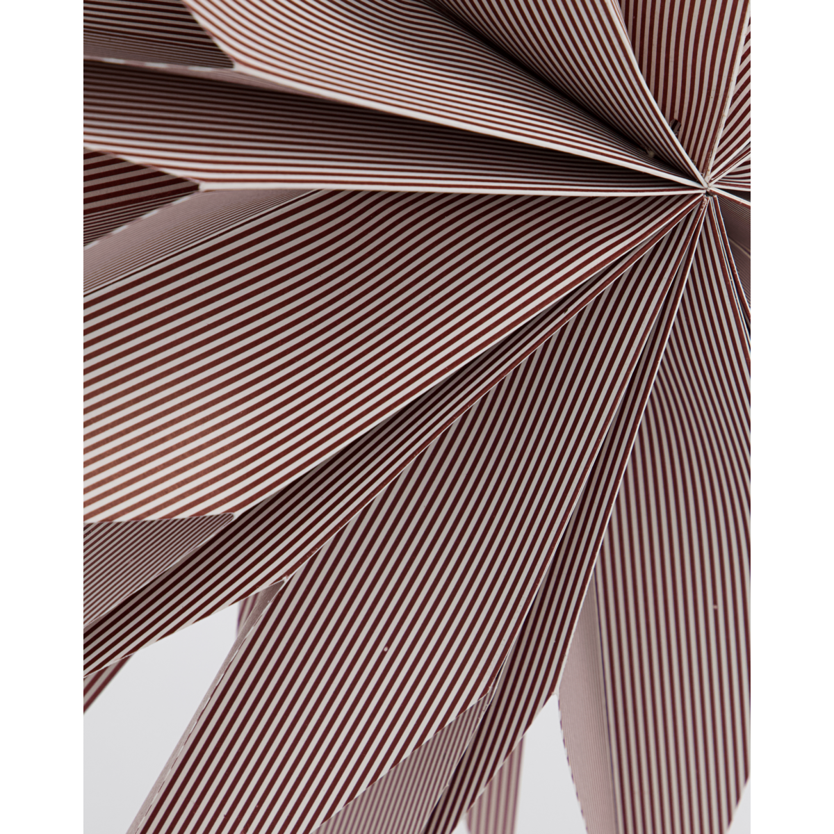 Star, hdcapella, burnt red; white