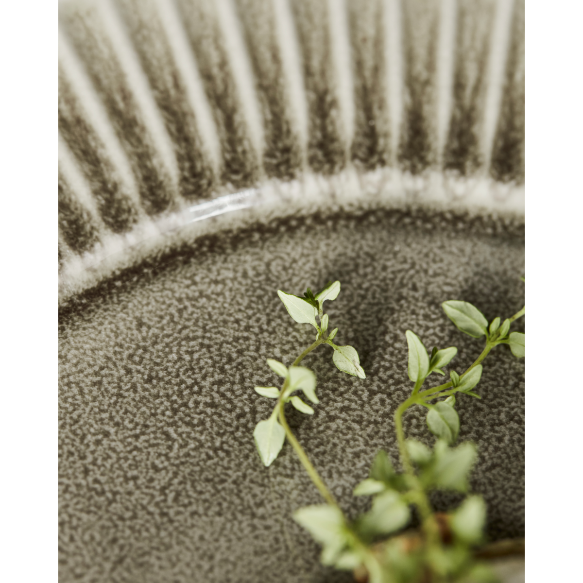 Dinner plate, HDPleat, gray; brown