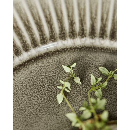 Dinner plate, HDPleat, gray; brown