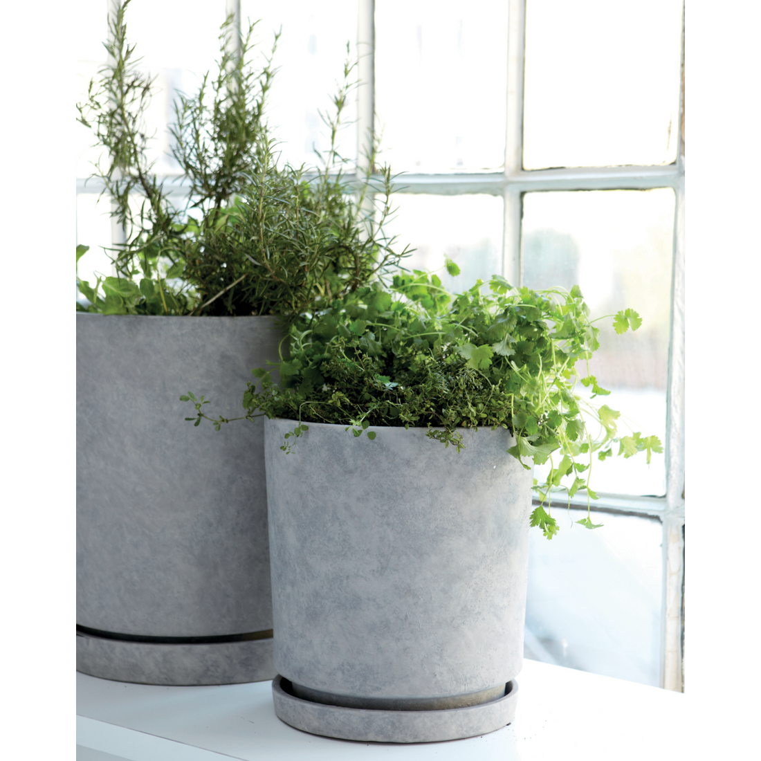 Herbal pot with saucer, hdhook, light gray