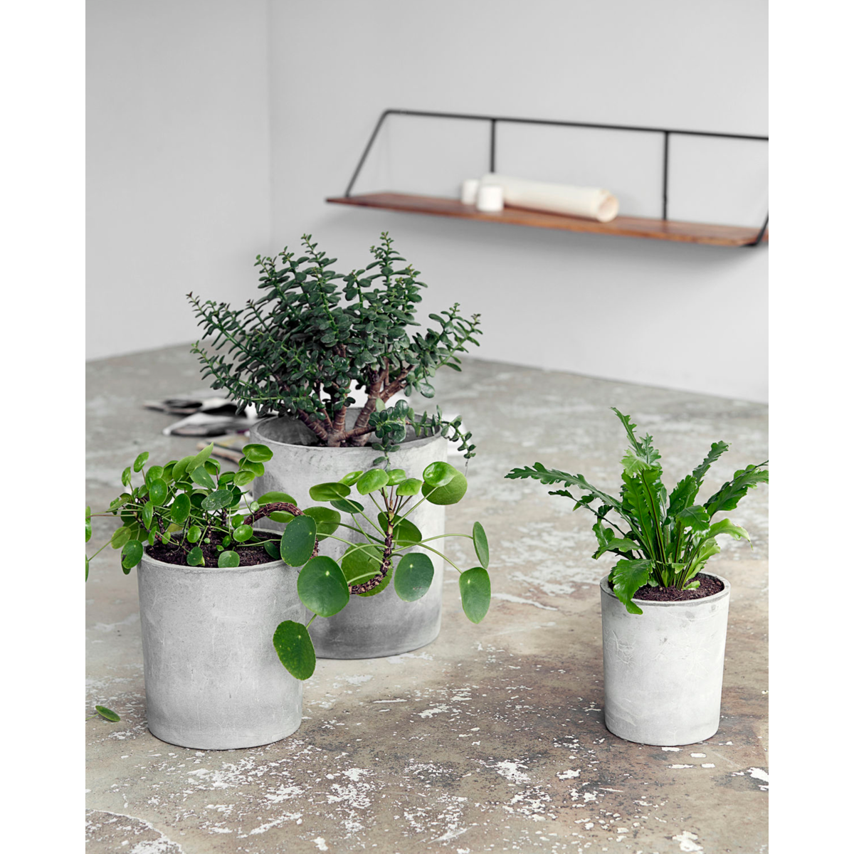 Herbal pot, hdave, light gray