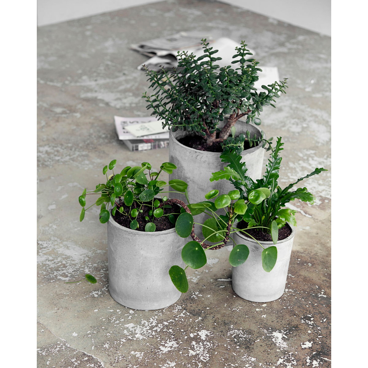 Herbal pot, hdave, light gray