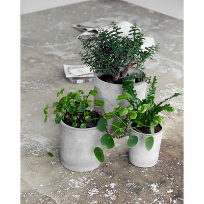 Herbal pot, hdave, light gray