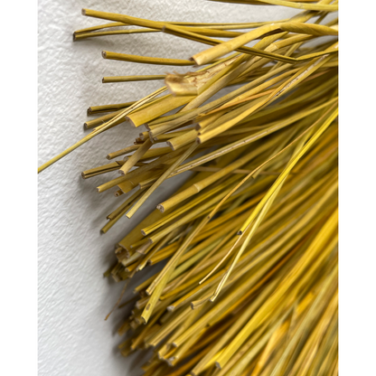 Wall Art, Hdjunia, Natural; Yellow