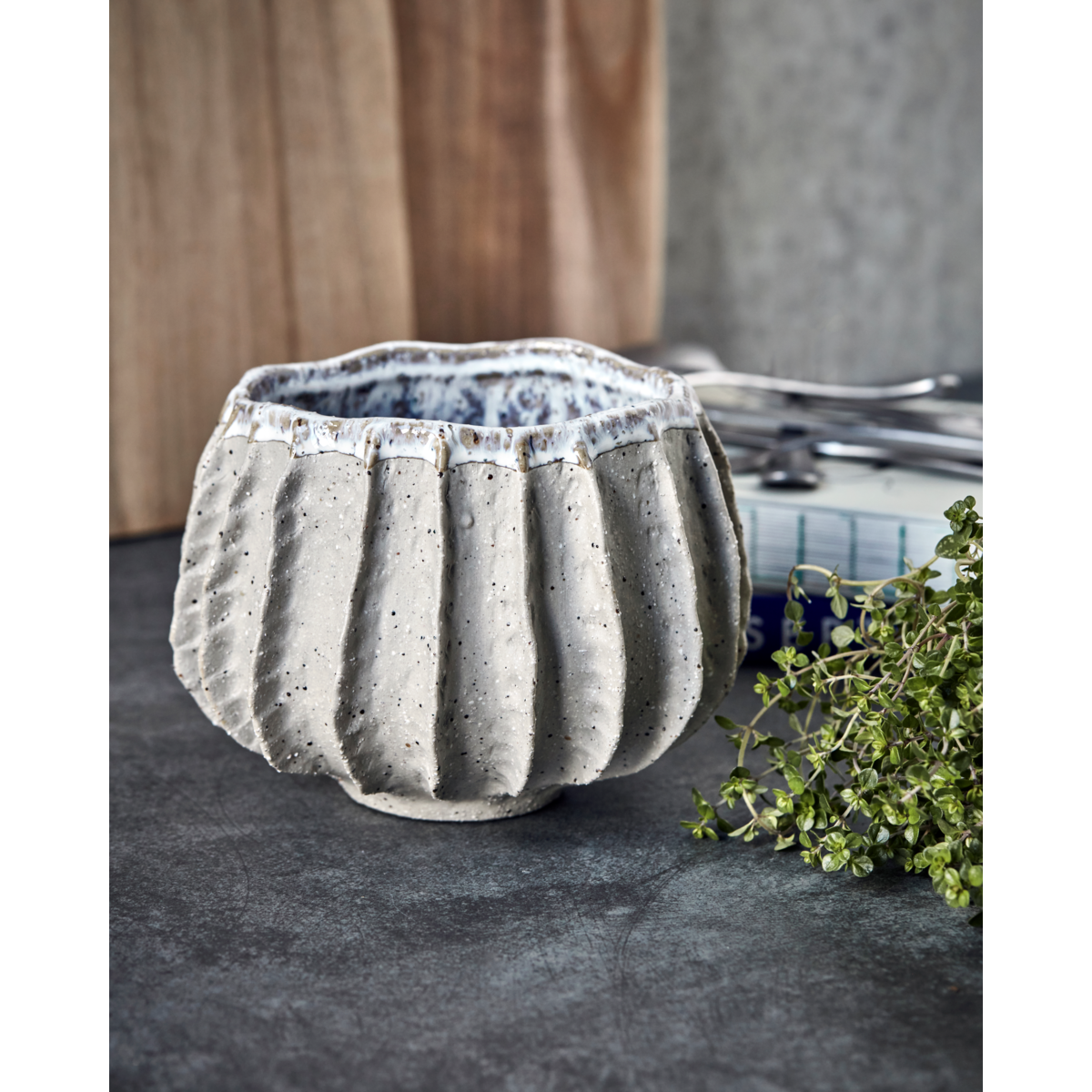 Herbal pot, hdshell, gray; beige