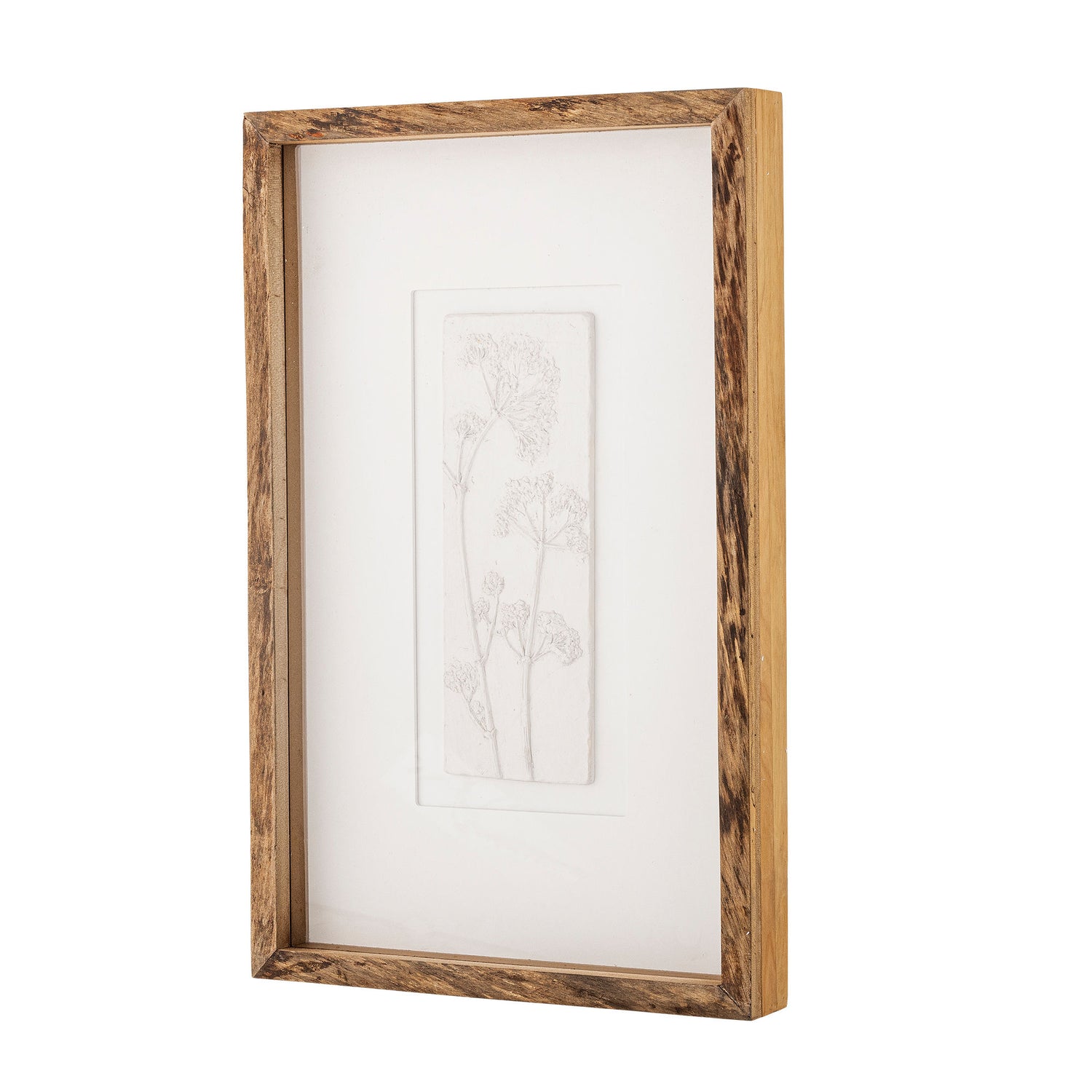Creative Collection Mey Illustration with Frame, Nature, Pine