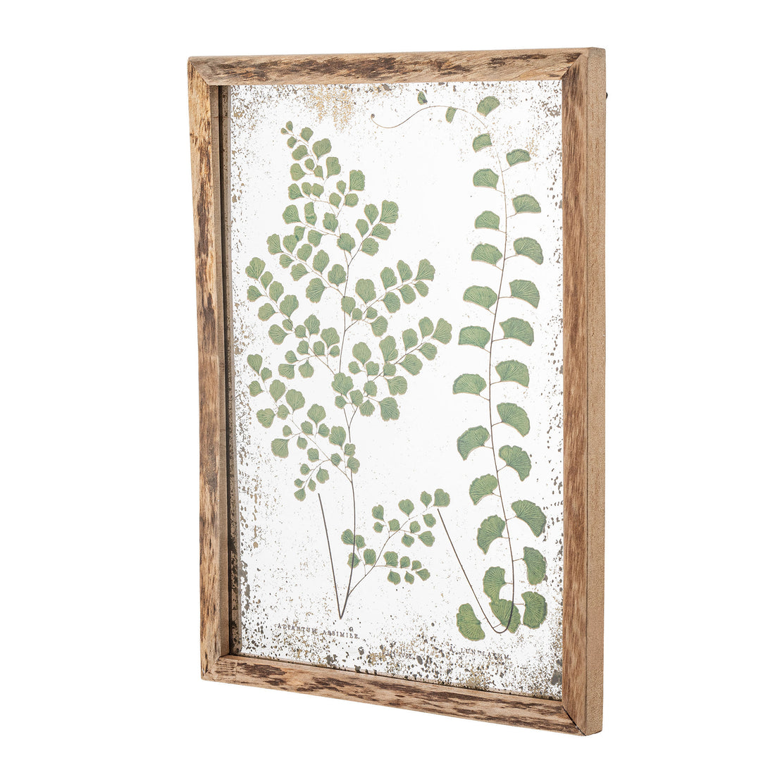 Creative Collection Tipper Illustration with Frame, Nature, Pine