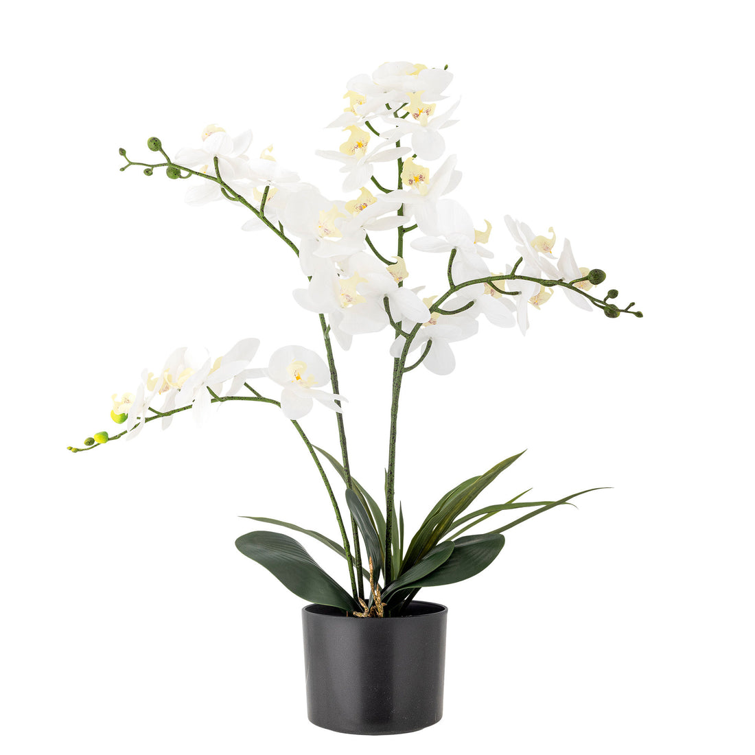 Bloomingville Orchid Plant, Green, Artificial Flowers