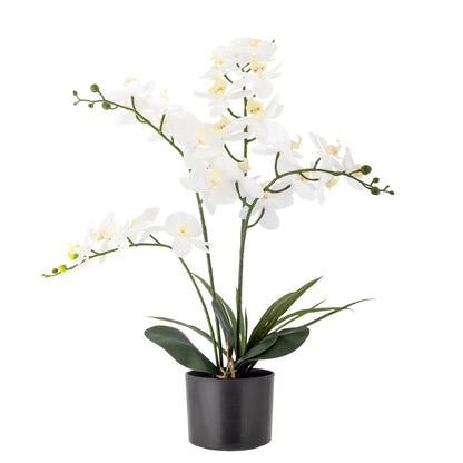 Bloomingville Orchid Plant, Green, Artificial Flowers