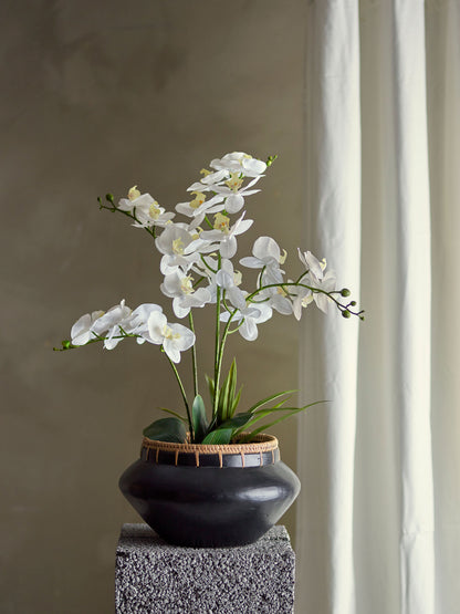 Bloomingville Orchid Plant, Green, Artificial Flowers