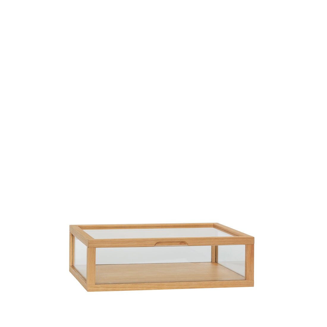 View Exhibition Montre Small Nature - 40x30xH12cm