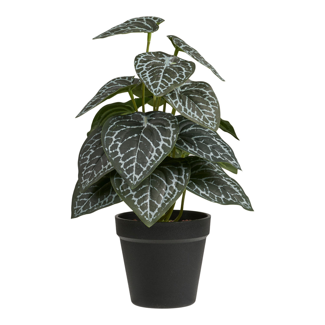 Artificial Plant - Plant, Green H: 33 cm