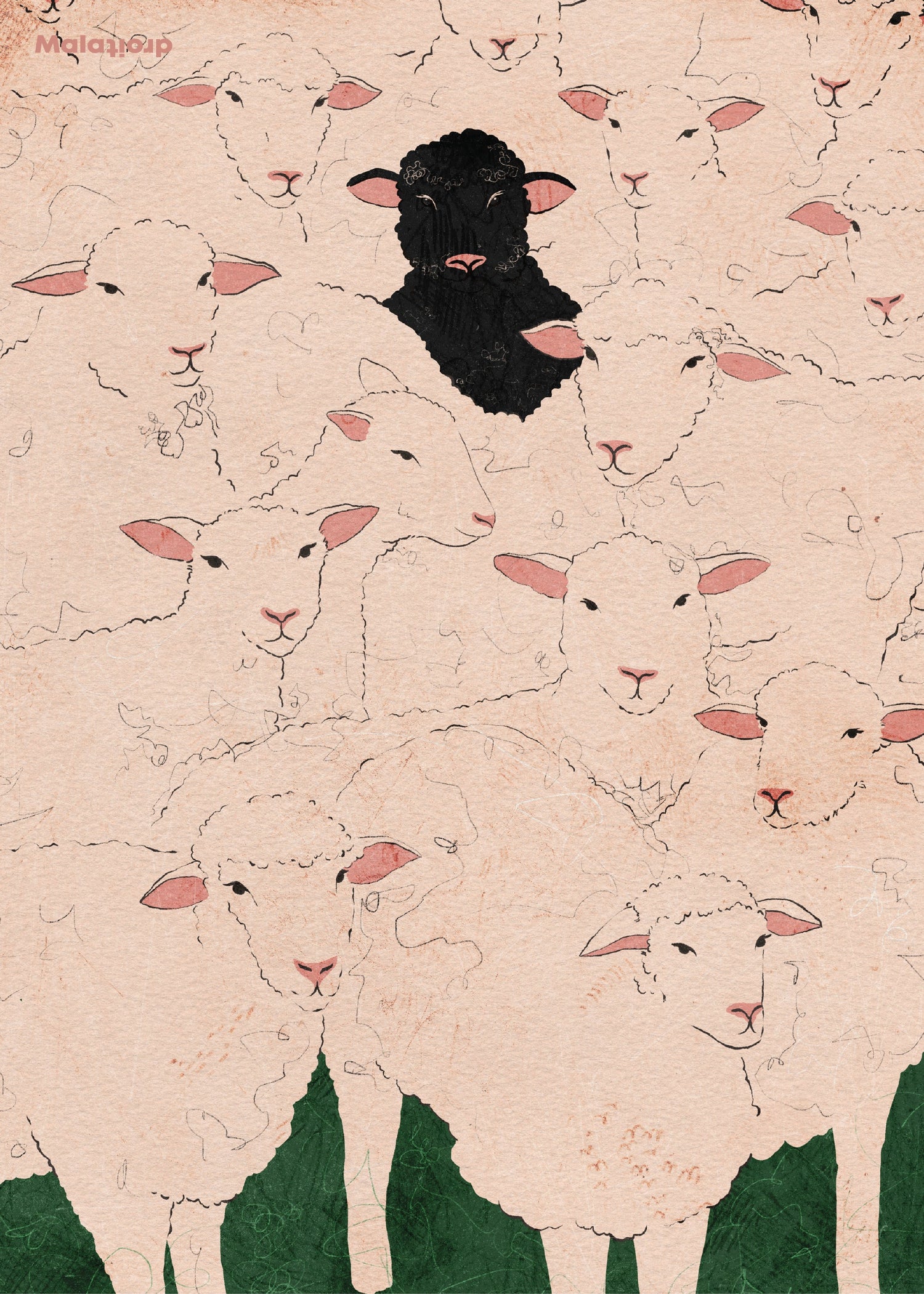 The black sheep