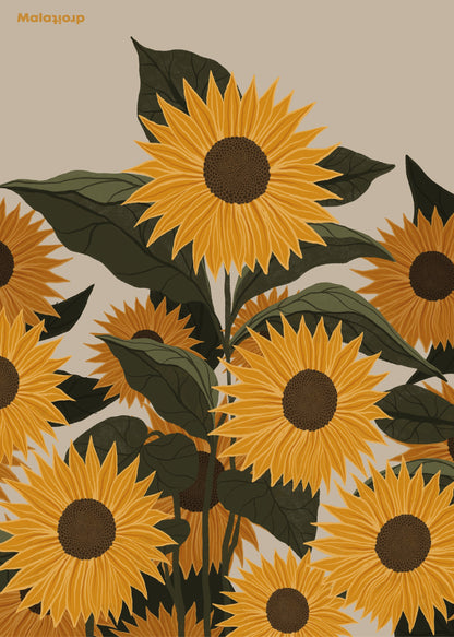 Sunflowers