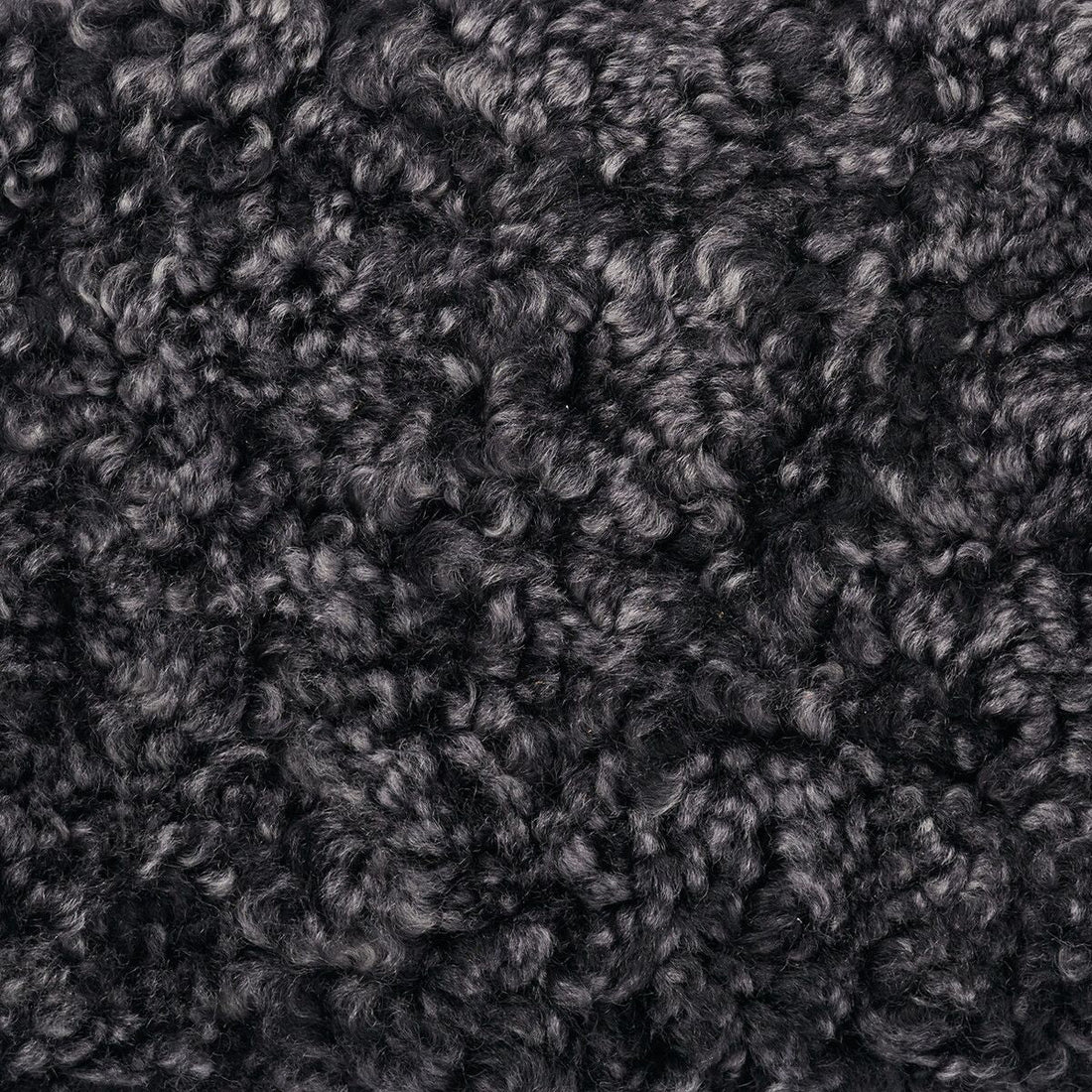 Shell Designer Carpet | Short-haired | New Zealand | 210x150 cm