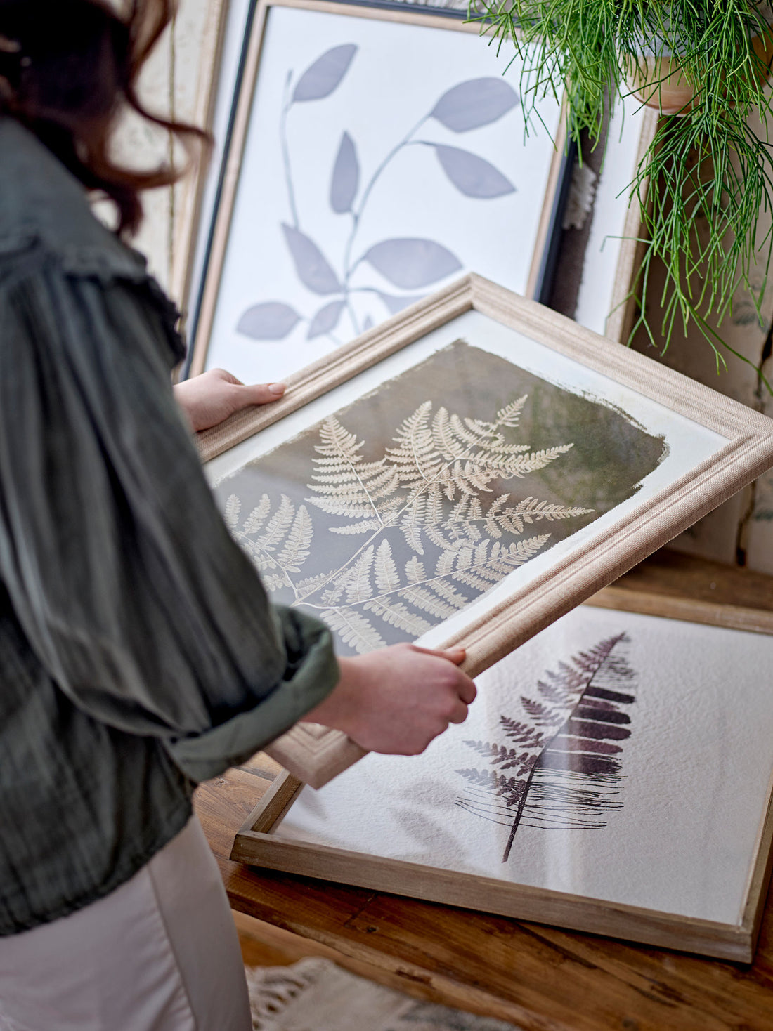 Creative Collection Corval Illustration with frame, nature, pine