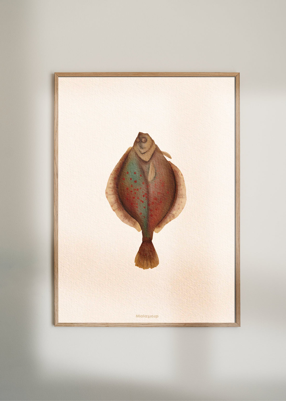 The plaice