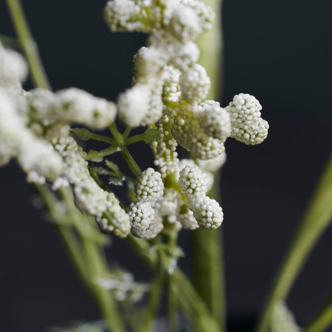 House Doctor - Flower, Gypsophila, White - L: 75 cm