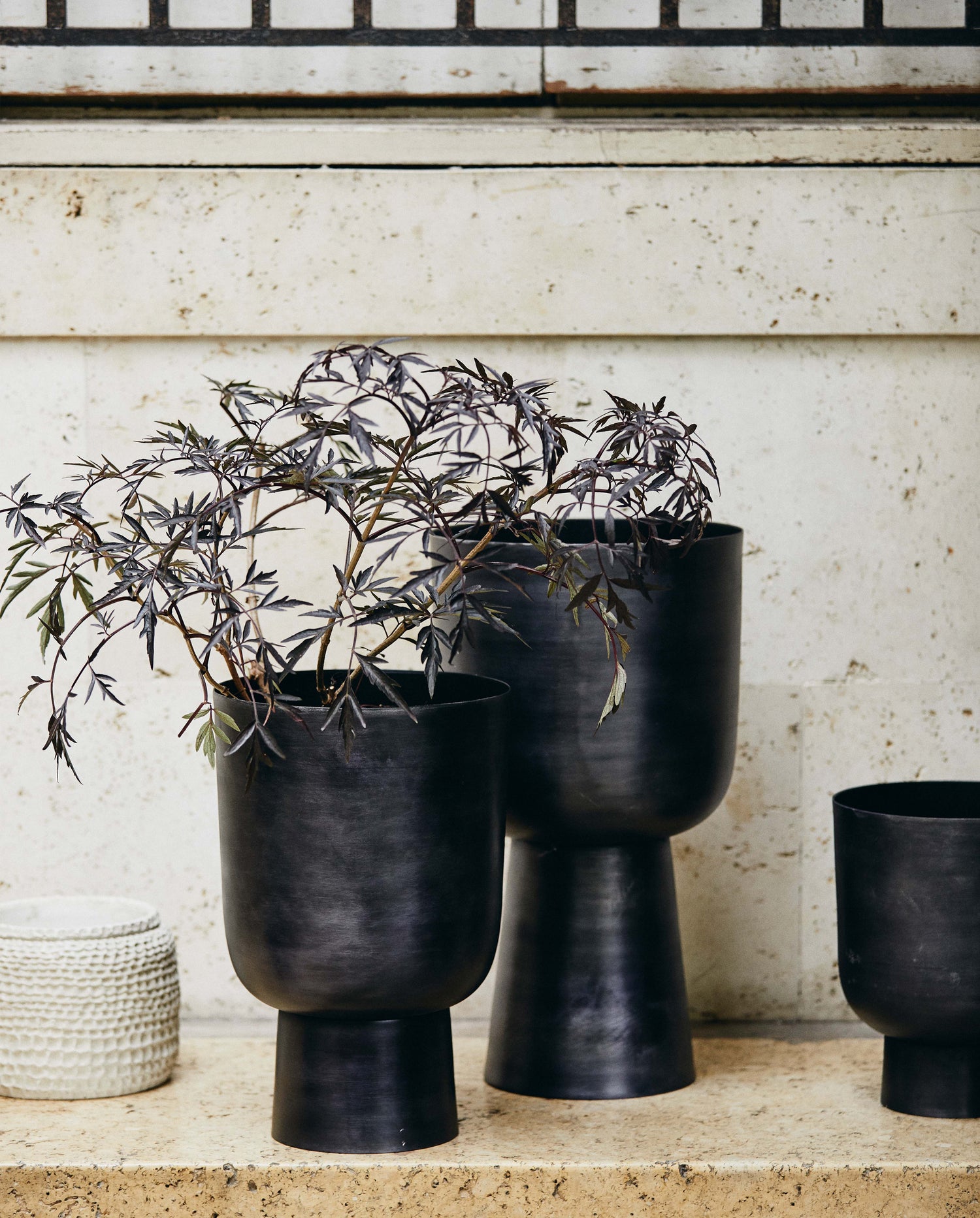 Galoa herbal pot, l - anthracite