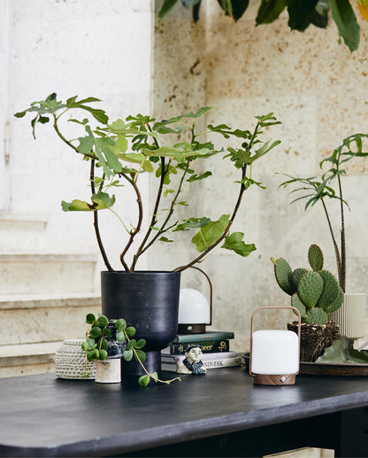 Troy portable lamp