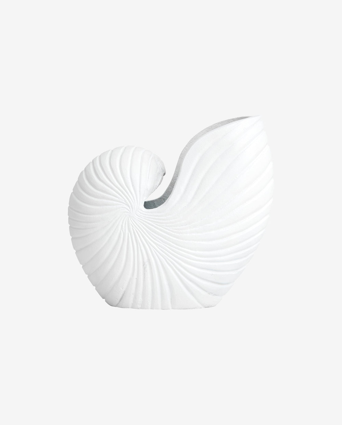 Rakitu flower vase - conch - h25 cm - white