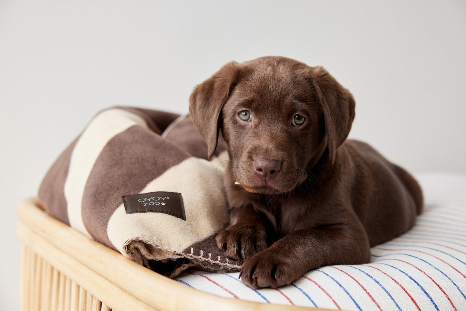 OYOY ZOO KAYA dog blanket - big