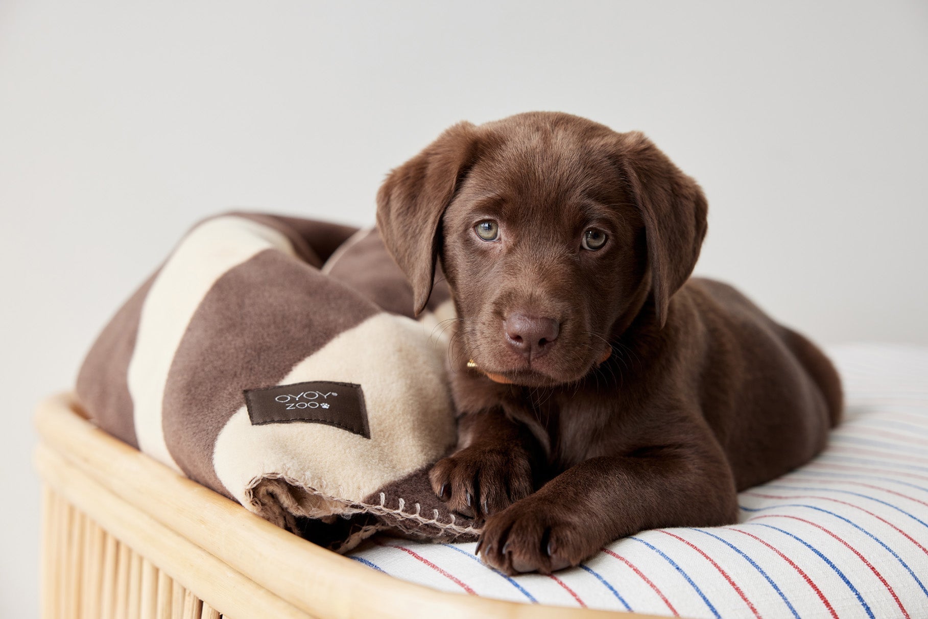 OYOY ZOO KAYA dog blanket - Medium