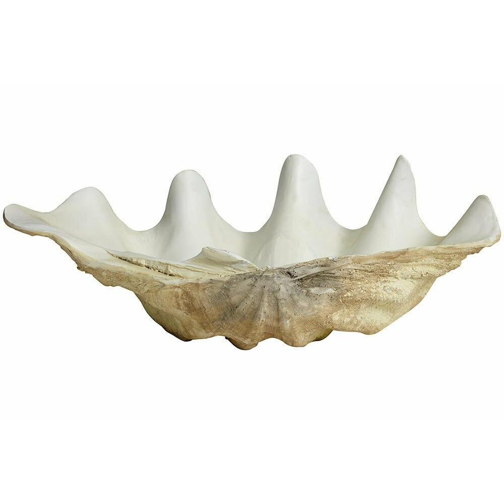 Nordal KICHI shell for decoration - large - L52 cm - white/beige