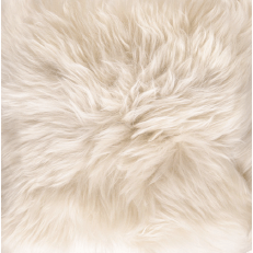 MAXI FLOAT CUL | Lambskin | Long -haired | New Zealand | Single page